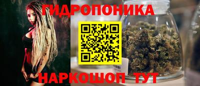 прущие грибы Апрелевка